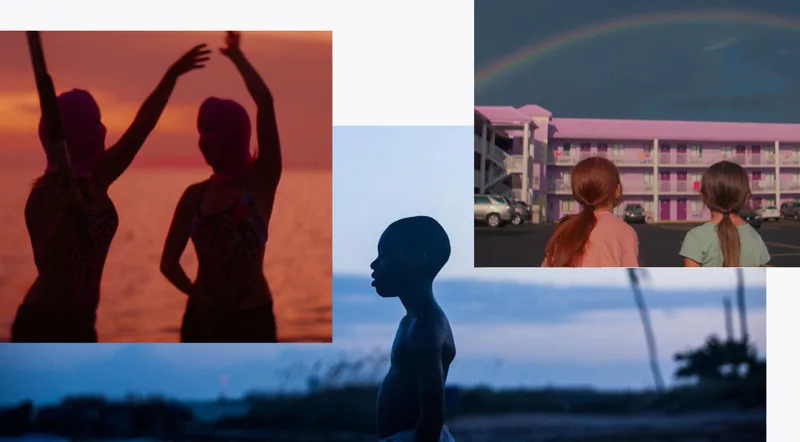 Florida On Film Thumbnail