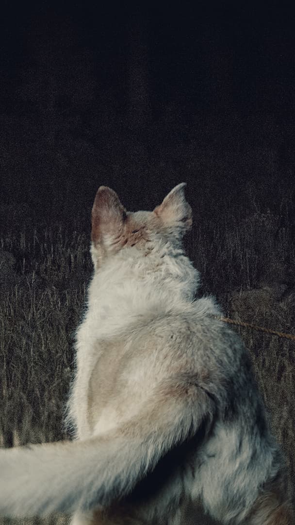 Ican Teaser Square 916 Mobile