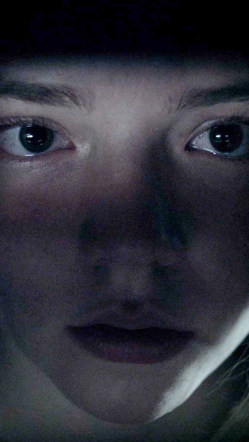 Peek A Boo Trailer 916 Mobile