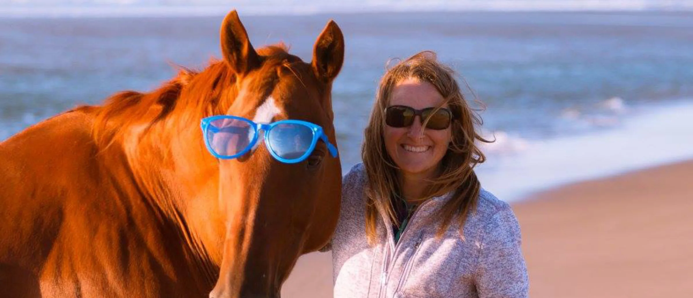 Talented Animals Cover