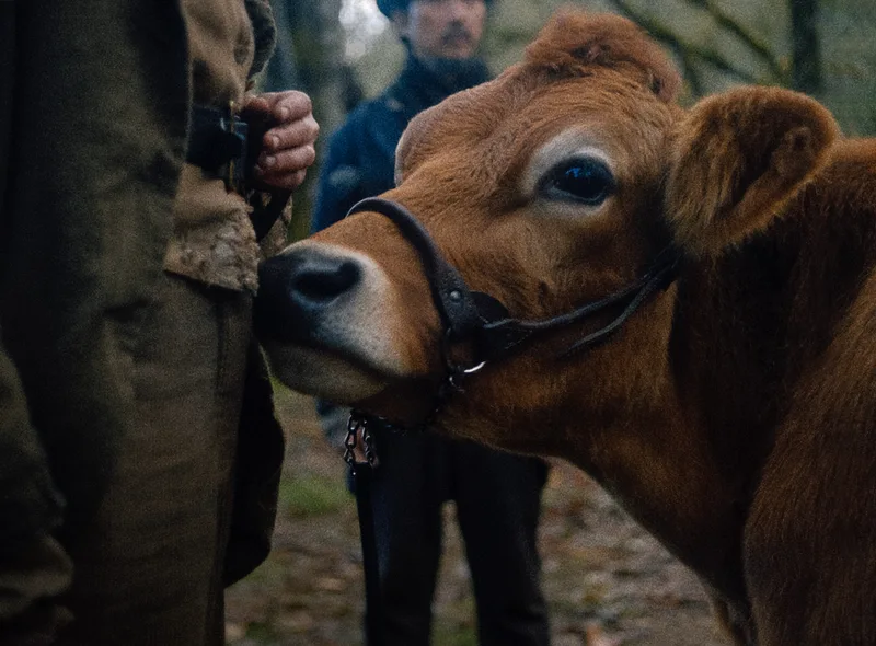 Fc Thumbnail Trailer Unconstrained